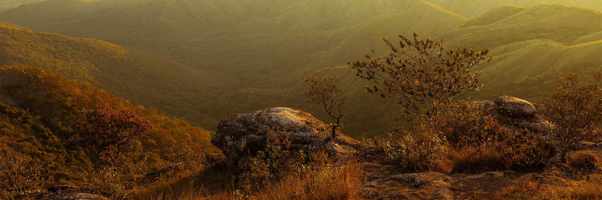 site_photography-28